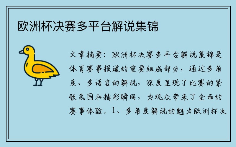 欧洲杯决赛多平台解说集锦