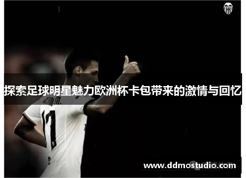 探索足球明星魅力欧洲杯卡包带来的激情与回忆